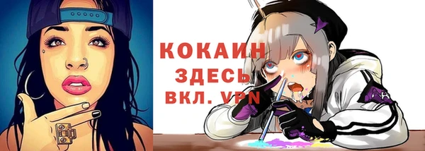 мдпв Медвежьегорск