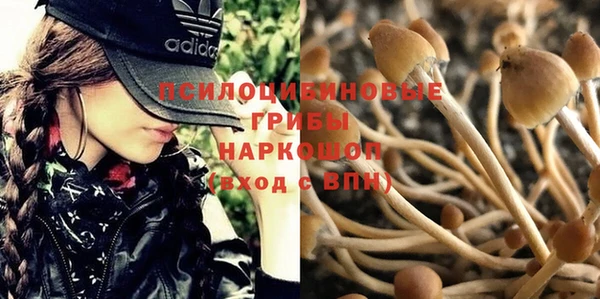 мдпв Медвежьегорск