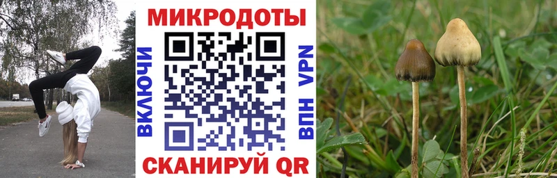 Галлюциногенные грибы Psilocybine cubensis кракен маркетплейс Чердынь
