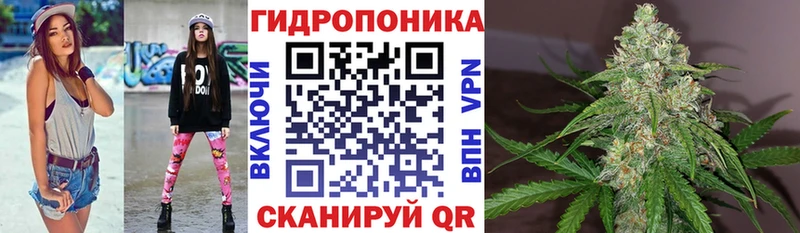 Каннабис планчик  Чердынь 